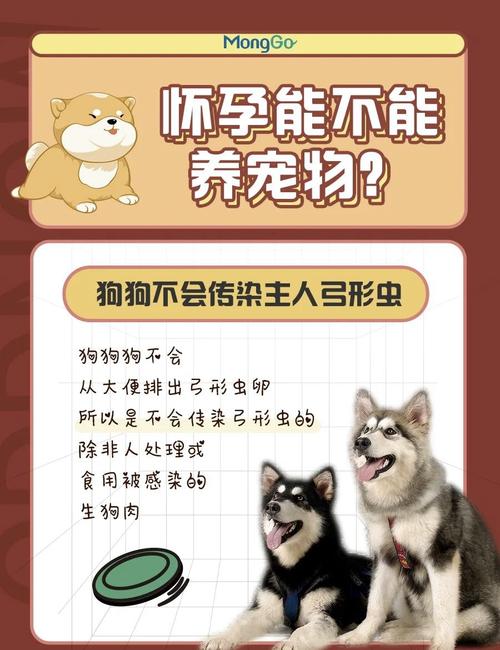 狗狗为什么会得弓形虫病?