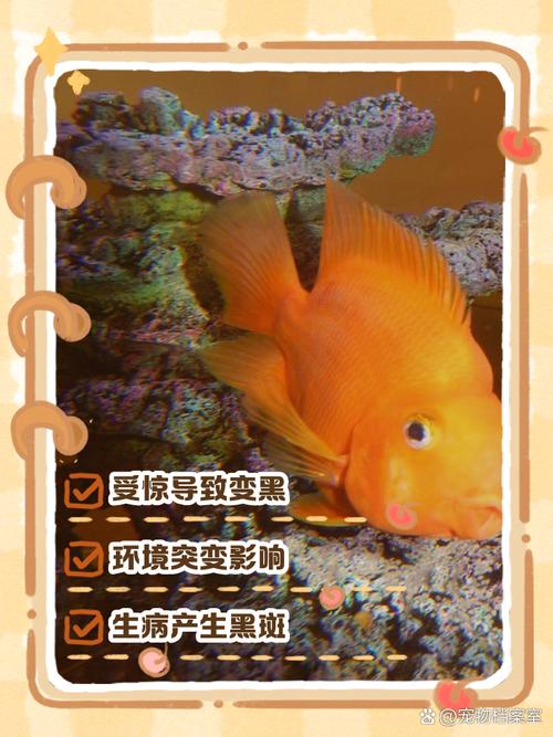 ...养的六条鹦鹉里有两条的鱼鳍和鱼身都变黑了是什么原因啊!请指教...
