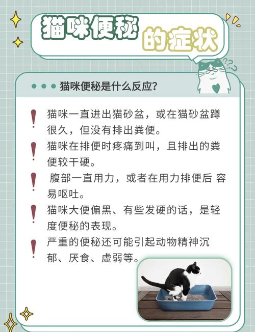 猫咪便秘不吃饭怎么办?