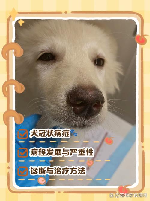 狗狗得犬冠状病毒病有什么症状?
