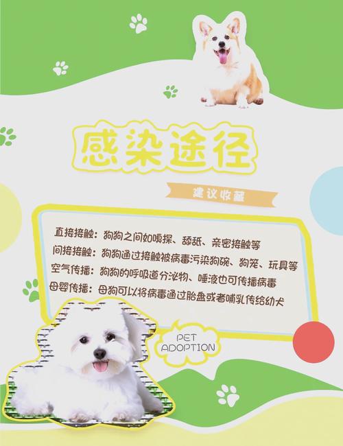 狗狗冠状病毒会自愈吗