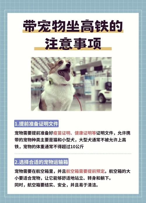 坐高铁狗狗可以托运吗?