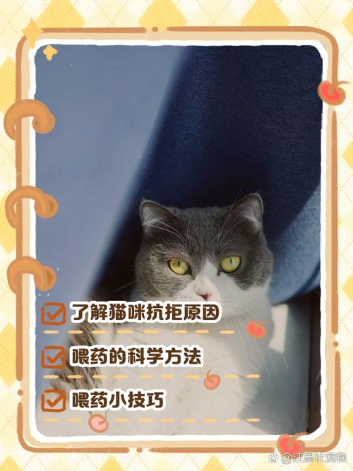猫不吃药怎么办