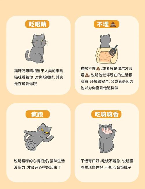 猫喜欢你的10种表现