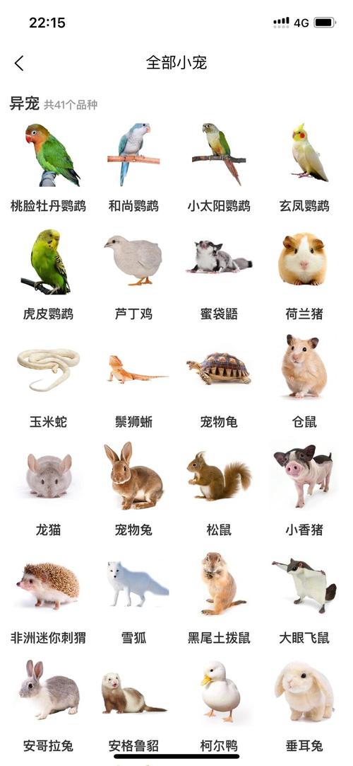 动物的名称有哪些?