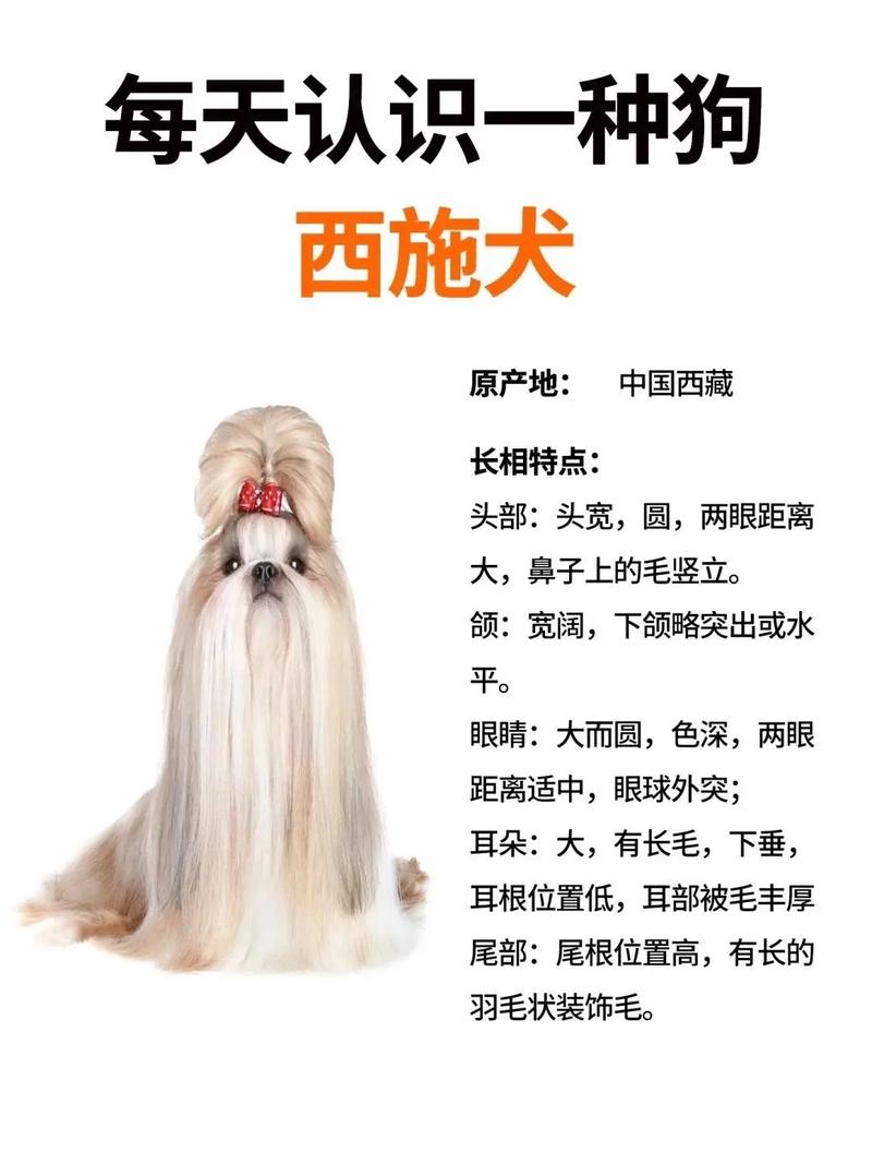 有没有人知道那种卷毛的西施犬。费用
大概是多少钱阿。