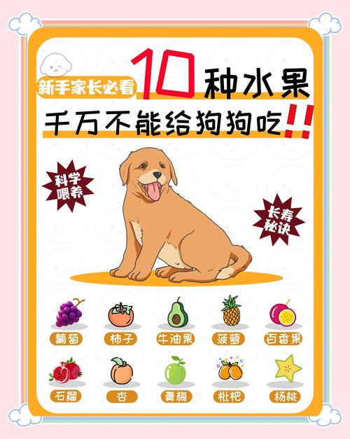 狗狗吃无花果过量会怎么样?