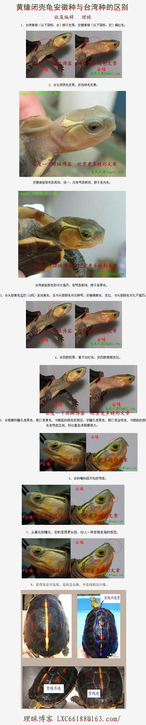 如何区分安缘和台缘?