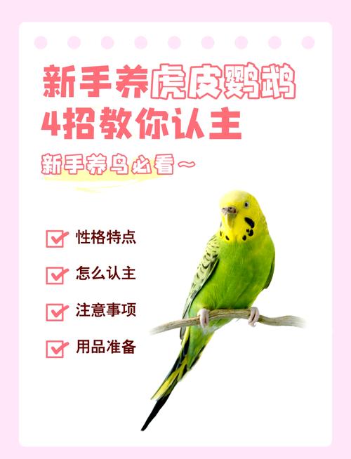 虎皮鹦鹉多大可以学会说话
