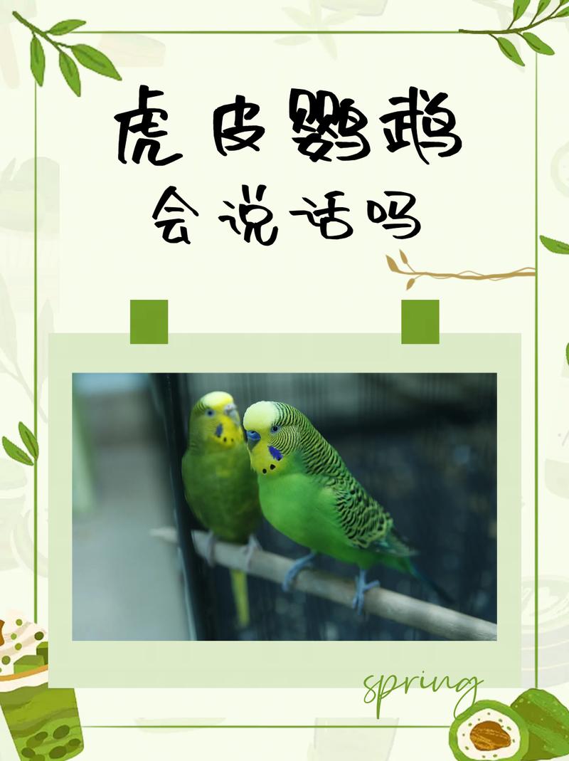 虎皮说话的几率有多大