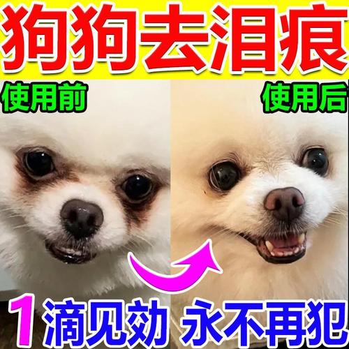 狗狗泪痕用什么眼药水，狗狗泪痕用啥药？