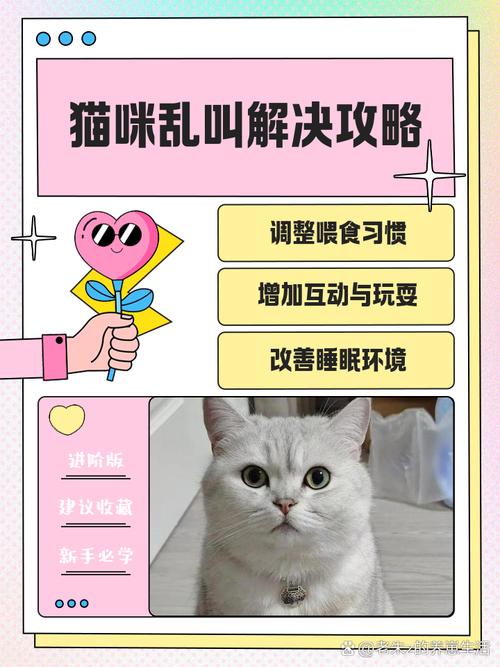 猫咪早晨乱叫怎么办?