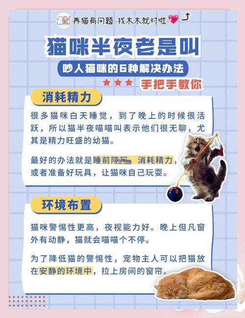 猫发情叫不停怎么办