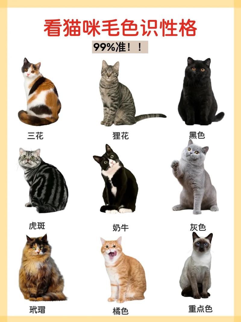 猫咪是否
色盲？猫是色盲吗百度百科？