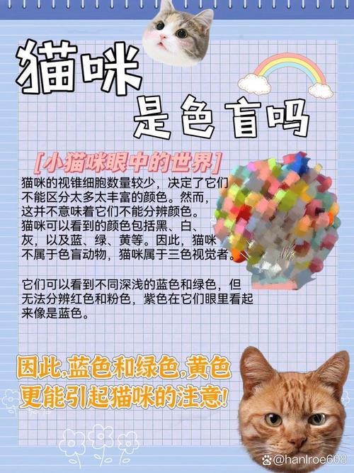猫是色盲嘛?