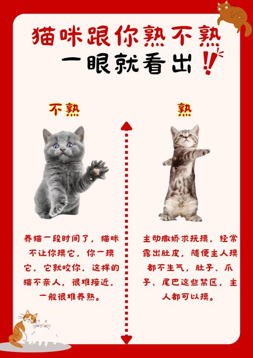 猫咪是色盲吗?猫咪能尝出酸甜苦辣吗?小宠医师科普你不知道的10个猫咪...