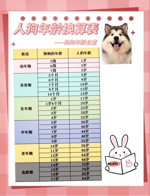 怎么知道狗狗几岁了？怎么知道狗狗多大年龄了？
