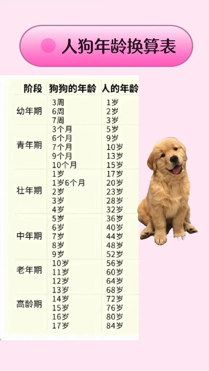 怎么判断狗年龄