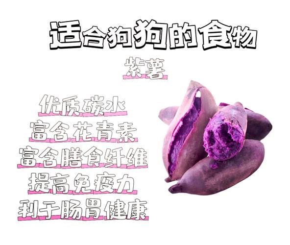 狗狗为什么吃紫薯