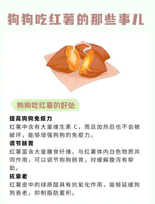 紫薯可以给狗狗吃吗?有什么好处呢?