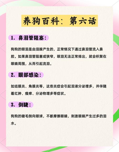 狗狗流泪怎么回事什么原因(狗狗流眼泪的6个原因)