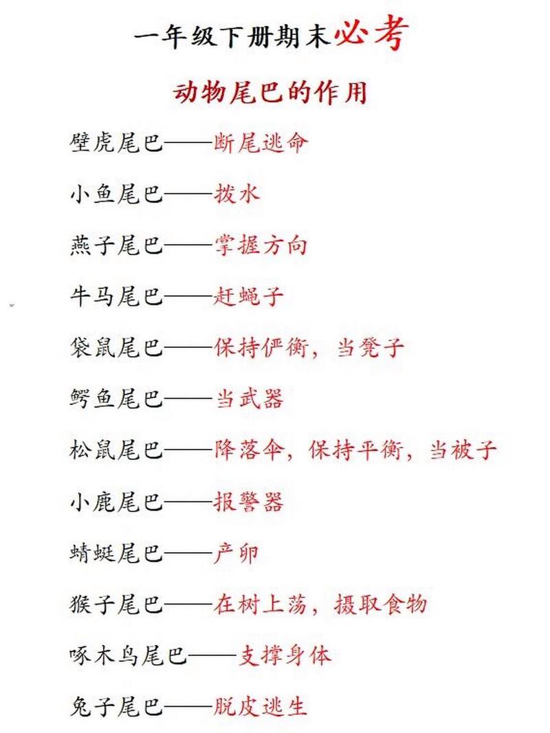 什么动物尾巴比较好
看?