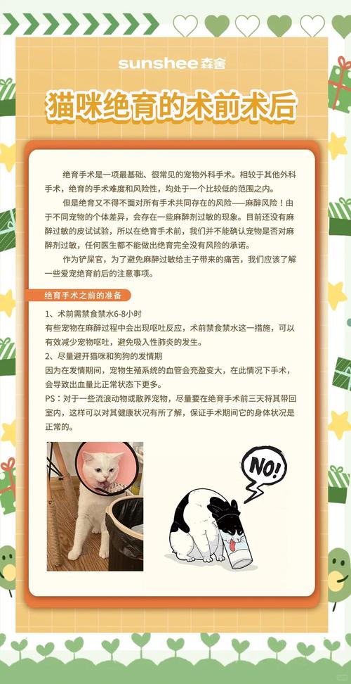 猫咪绝育前后的注意事项