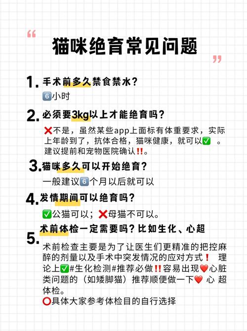 猫绝育手术前后应注意什么?