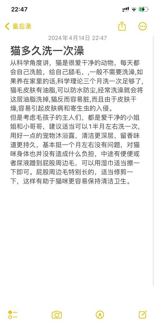 捡回来的流浪猫多久可以洗澡