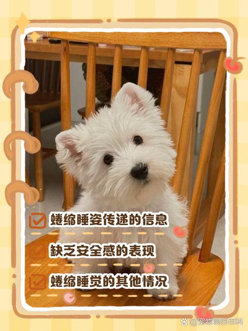 狗狗蜷着睡是什么原因