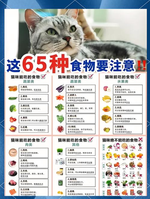 猫咪可以吃什么蔬菜
