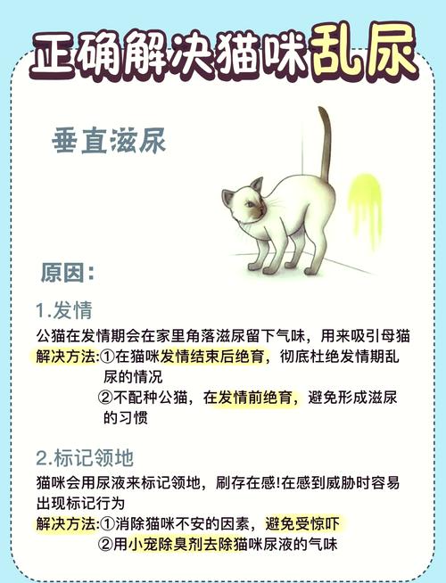 从不乱尿的猫咪突然乱尿