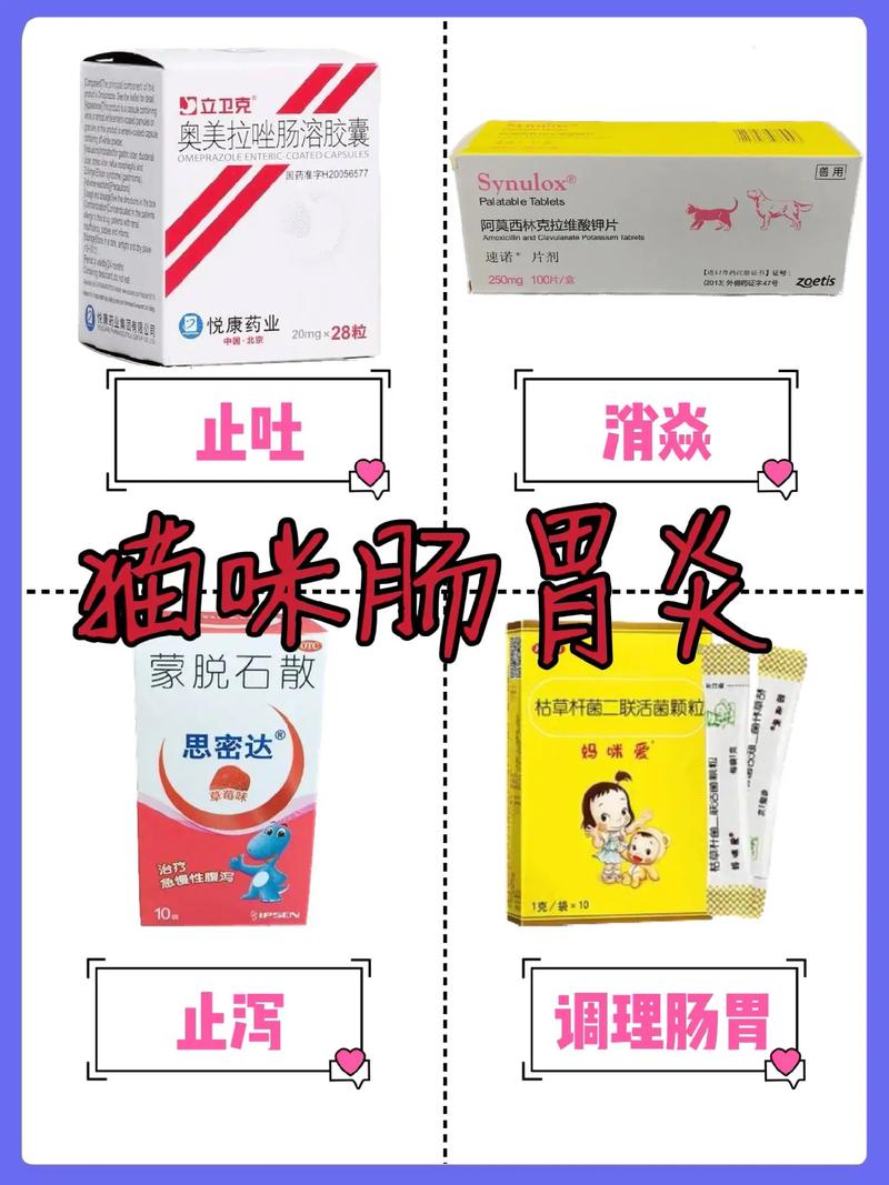 猫急性肠胃炎怎么办?吃什么药能好