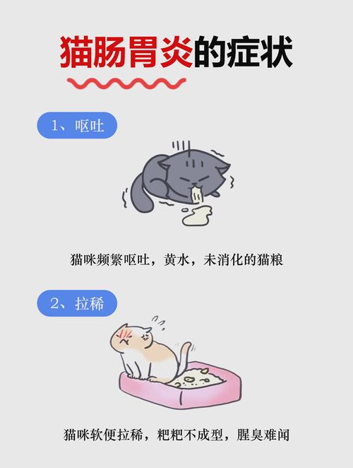 猫咪急性肠胃炎有哪些症状
