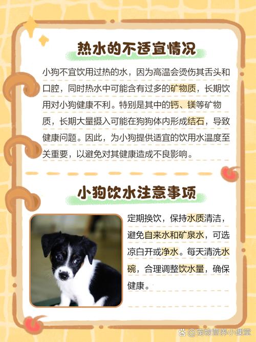 狗狗能喝温水吗，狗狗可以喝温水吗