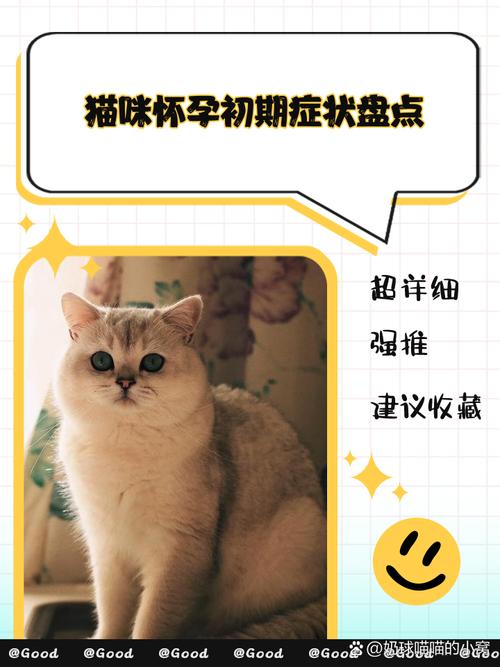 猫咪怀孕的表现，怎么确定母猫怀孕了