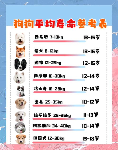 狗狗一般能活多久?