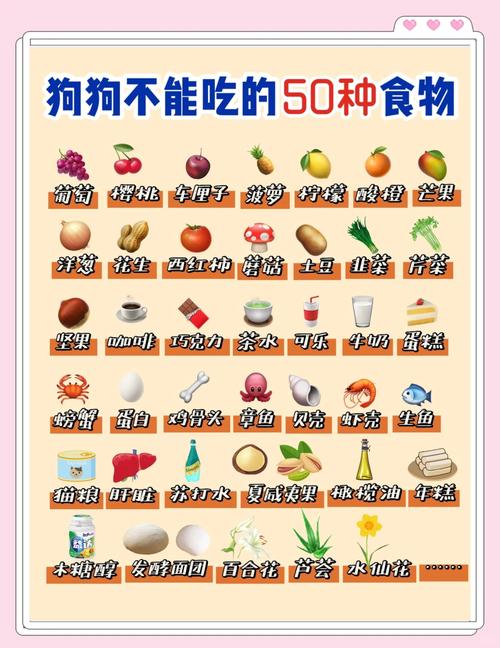 狗狗不可以吃什么东西