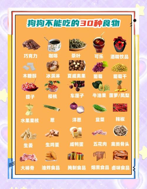 狗狗不能吃什么食物?