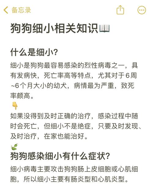 狗狗细小死前几个小时征兆