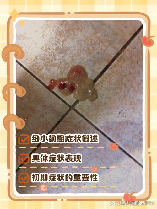 狗狗得了细小快死的征兆