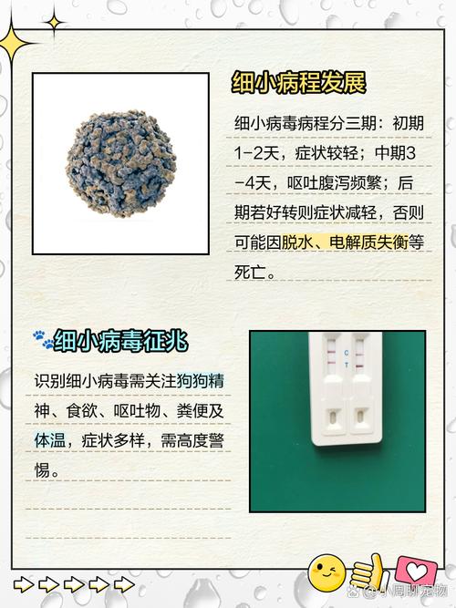 狗狗细小快不行的征兆