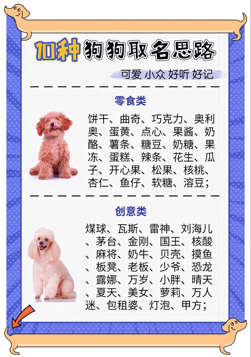 求狗狗起名100个好听到爆的狗狗名