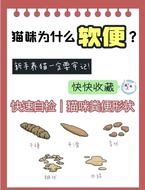 猫咪大便干燥怎么办，猫咪大便拉不出来有什么办法解决？