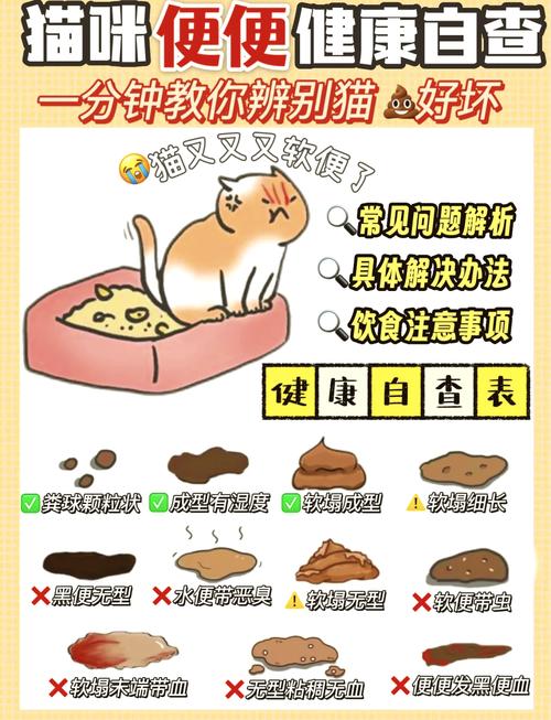 猫咪的大便干燥怎么办