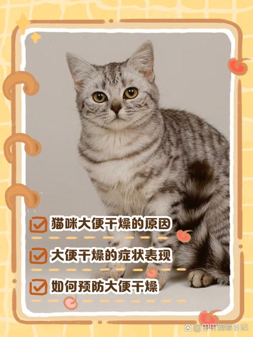 猫咪大便干燥,一粒一粒的怎么办?