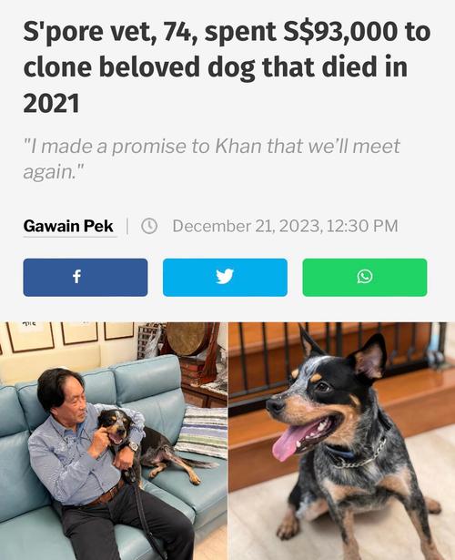 狗狗吃了生大米怎么办?