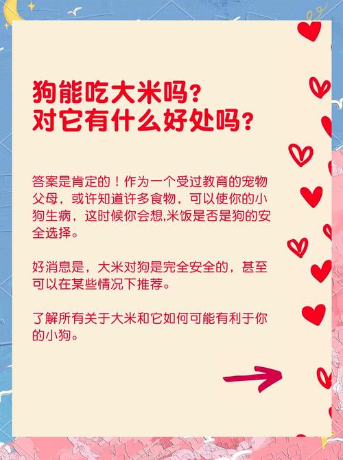 为什么狗狗不能吃大米