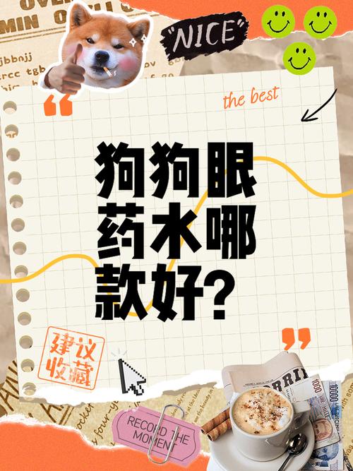 人的眼药水可以给狗狗用吗
