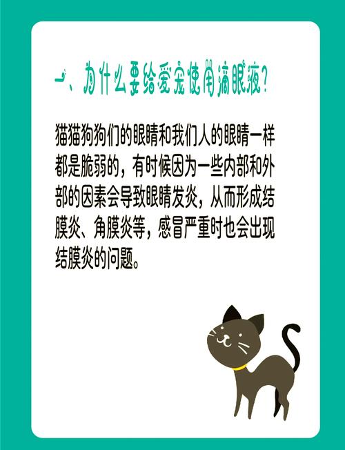 狗狗可以滴人用的眼药水吗